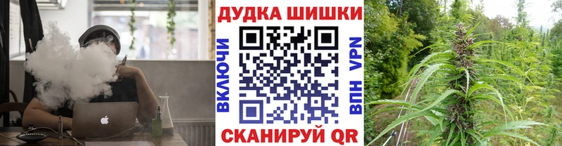omg маркетплейс  продажа наркотиков  Снежногорск  Канабис AK-47 